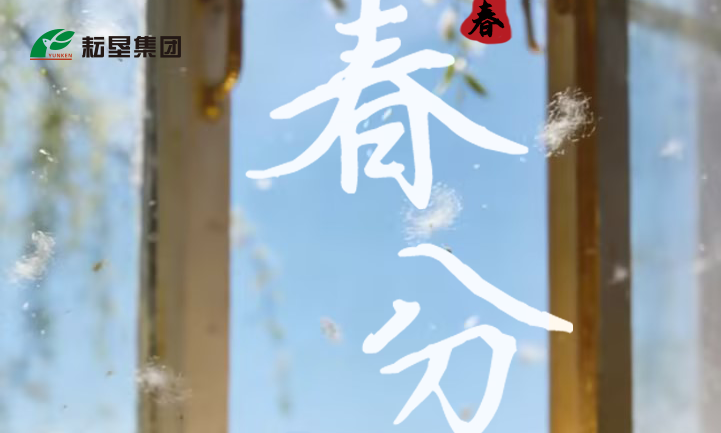 https://en.yunken.net/uploadfile/2026/0521/20260521012345555.png